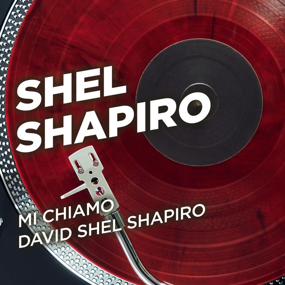 Copertina di Mi chiamo David Shel Shapiro